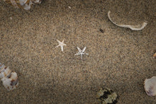 Carica l'immagine nel visualizzatore di Gallery, Stella Marina Mini . Orecchini