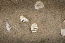 Carica l'immagine nel visualizzatore di Gallery, Conchiglia sulla spiaggia . Orecchini
