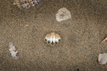 Carica l&#39;immagine nel visualizzatore di Gallery, Conchiglia sulla spiaggia . Anello
