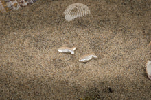 Carica l&#39;immagine nel visualizzatore di Gallery, Amuleto del Mare . Orecchini
